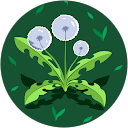 Anna Limbu profile picture