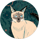 Neha Raikar profile picture