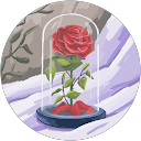 Barkat Shaikh profile picture