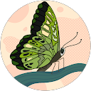 Tàpàß Berà profile picture